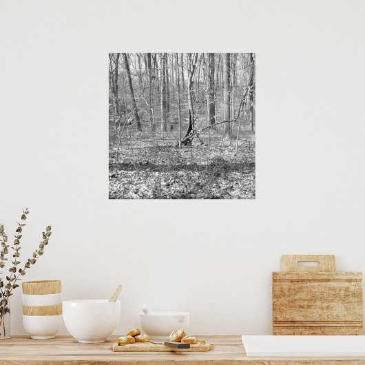 Ridley Creek Staat Park Poster (Küche)