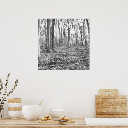 Ridley Creek Staat Park Poster (Küche)