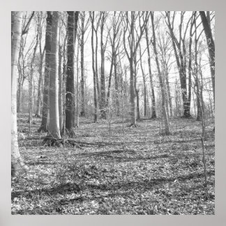 Ridley Creek Staat Park Poster