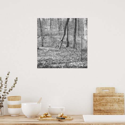 Ridley Creek Staat Park Poster (Küche)