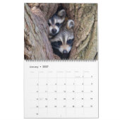 Ridley's Reflections 2026 Kalender (Jan 2027)