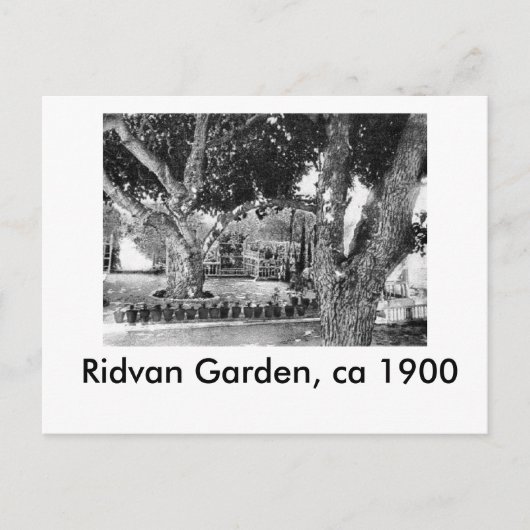 Ridvan Garden - ca. 1900 Postkarte (Vorderseite)
