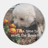 Rieche die Blumen Magnet (Vorne)
