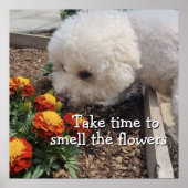 Rieche die Blumen  Poster (Vorne)