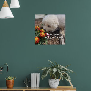 Rieche die Blumen Poster