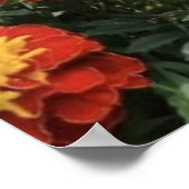 Rieche die Blumen  Poster (Ecke)