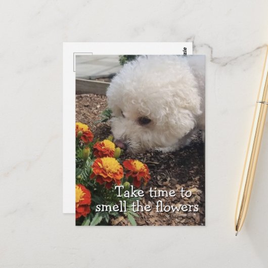 Rieche die Blumen Postkarte (Vorderseite/Rückseite Beispiel)