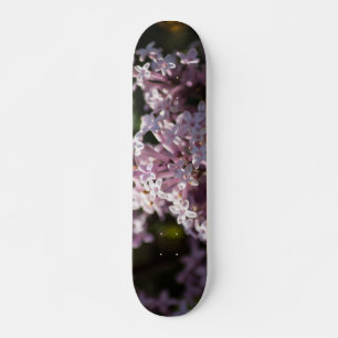 Rieche diesen Flieder Skateboard