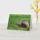 Rieche ich Geburtstagskuchen? Karte (Gelbe Blume)