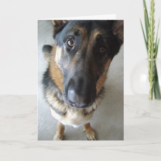 Rieche ich Kuchen? Geburtstagwünsche... Karte (Vorderseite)