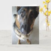 Rieche ich Kuchen? Geburtstagwünsche... Karte (Gelbe Blume)