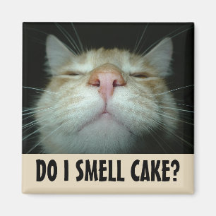 RIECHE ICH KUCHEN? LUSTIGE ORANGE KATZE MAGNETE MAGNET