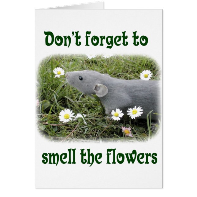 Riechen Sie die Blume (Vorne)