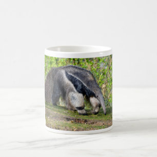 Riese Anteater auf Gras Kaffeetasse