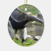 Riese Anteater auf Gras Keramik Ornament (Links)