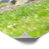 Riese Anteater auf Gras Poster (Ecke)