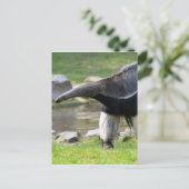 Riese Anteater auf Gras Postkarte (Stehend Vorderseite)