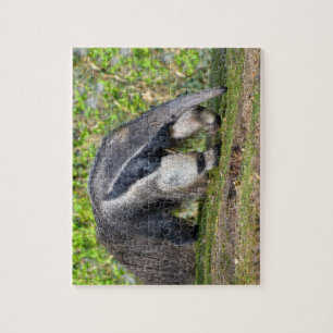 Riese Anteater auf Gras Puzzle