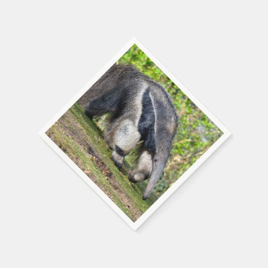 Riese Anteater auf Gras Serviette (Ecke)