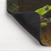 Riesen-Blattfrosch Phyllomedusa bicolor) 2 Mousepad (Ecke)