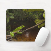 Riesen-Blattfrosch Phyllomedusa bicolor) 2 Mousepad (Mit Mouse)