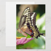 Riesen-Frack-Butterfly Briefpapier (Vorne/Hinten)