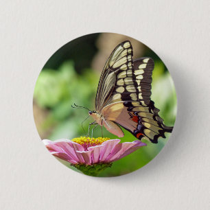 Riesen-Frack-Butterfly Button