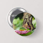 Riesen-Frack-Butterfly Button (Vorne & Hinten)