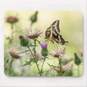 Riesen-Frack-Butterfly Mousepad