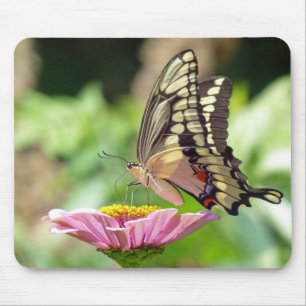 Riesen-Frack-Butterfly Mousepad