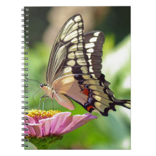 Riesen-Frack-Butterfly Notizblock