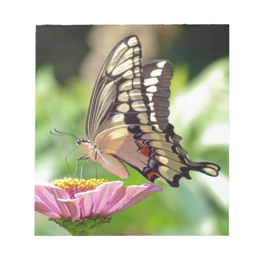 Riesen-Frack-Butterfly Notizblock (Vorderseite)