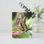 Riesen-Frack-Butterfly Postkarte (Stehend Vorderseite)
