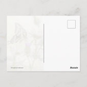 Riesen-Frack-Butterfly Postkarte (Rückseite)