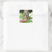 Riesen-Frack-Butterfly Quadratischer Aufkleber (Tasche)