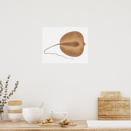 Riesen-Freshwater-Stingray Poster (Küche)