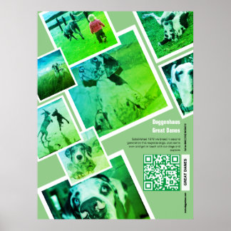 Riesen-Great-Dane-Zuchtstätte-Promotion-Plakat Poster