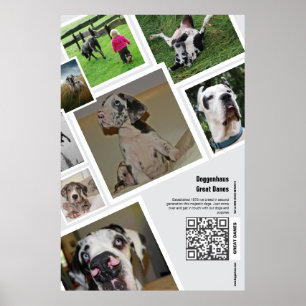 Riesen-Great-Dane-Zuchtstätte-Promotion-Plakat Poster