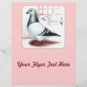 Riesen-Homer-Taube 1973 Flyer