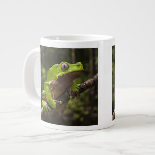 Riesen-Laubfrosch Phyllomedusa bicolor) Jumbo-Tasse