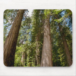 Riesen-Lebensbäume Mousepad