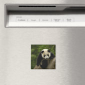 Riesen-Panda-Baby Magnet (In Situ (Geschirrspüler))