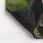 Riesen-Panda-Baby Mousepad (Ecke)