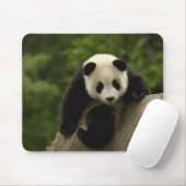 Riesen-Panda-Baby Mousepad (Mit Mouse)