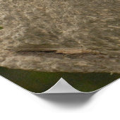 Riesen-Panda-Baby Poster (Ecke)