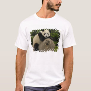 Riesen-Panda-Baby T-Shirt