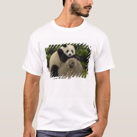Riesen-Panda-Baby T-Shirt (Vorderseite)