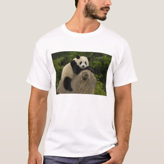 Riesen-Panda-Baby T-Shirt (Vorderseite)