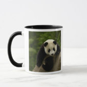 Riesen-Panda-Baby Tasse (Links)