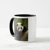 Riesen-Panda-Baby Tasse (Vorderseite Links)